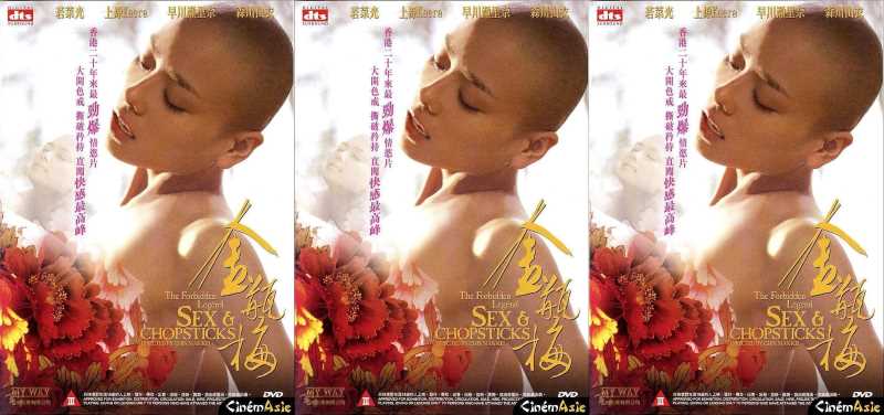 Phim hong kong 18 – Kim Bình Mai 2008